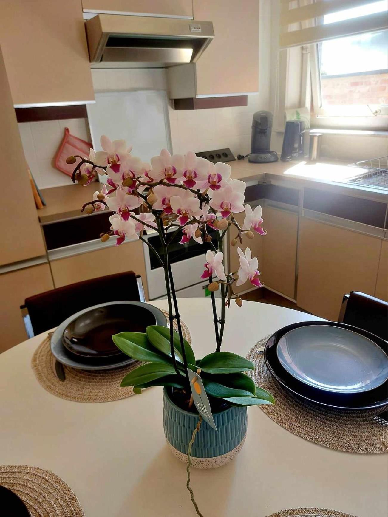 Huys 34, Uw Thuis Weg Van Huis Villa Maldegem Ngoại thất bức ảnh